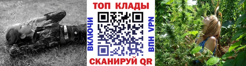 Какие есть наркотики Ковылкино Бошки Шишки Кокаин Гашиш Alpha PVP Меф