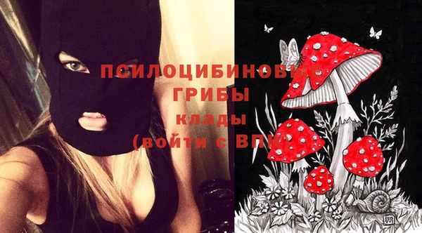 молекула духа Киренск
