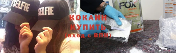 амф Козельск