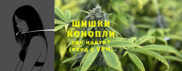 молекула духа Киренск