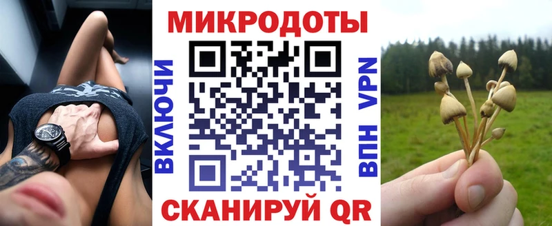 Галлюциногенные грибы Psilocybine cubensis  Ковылкино 